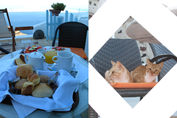 Breakfast at Tabby's...