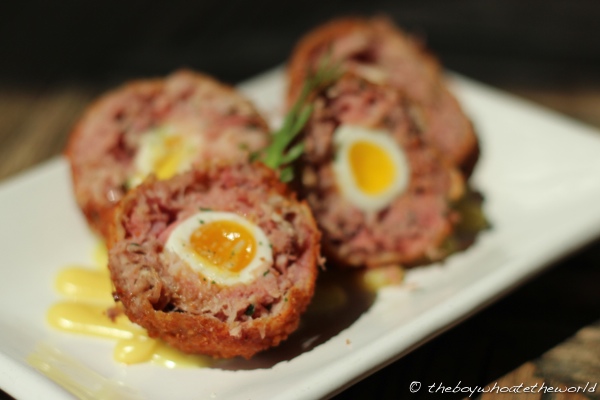 The Pig - Brocks Egg