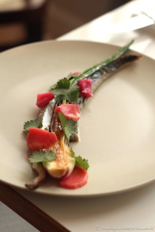 Mackerel Spring Onion Rhubarb Coriander